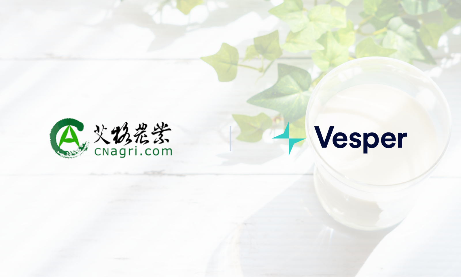 Vesper is a very efficient partner with excellent data models and expertise in presentation formats, and BOABC hopes to learn from leading technologies and experience in this regard.” (2400 × 1440px) (2)